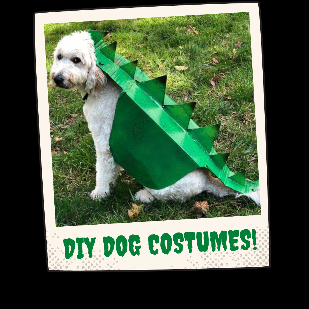 Easy-Dinosaur-Costume-for-Halloween