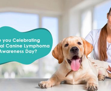 National Canine Lymphoma Awareness Day