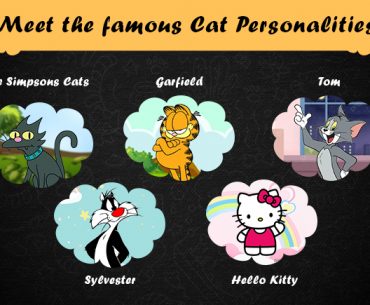 Meet The Famous Cat Personalities