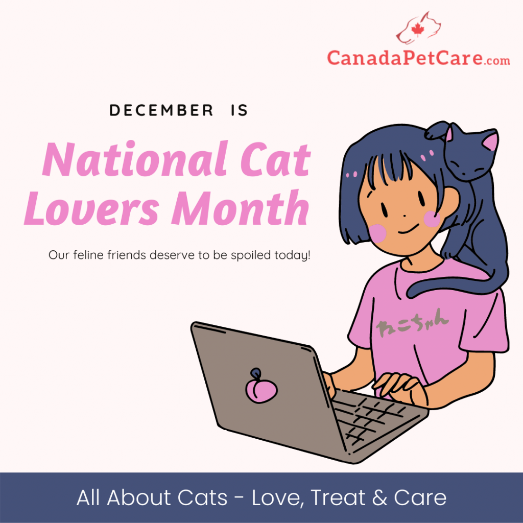 Cat Lovers Month