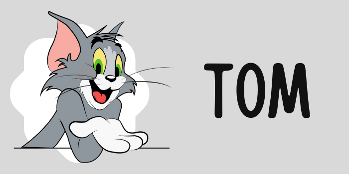 Tom -  Famous Cat Personalities CanadaPetCare