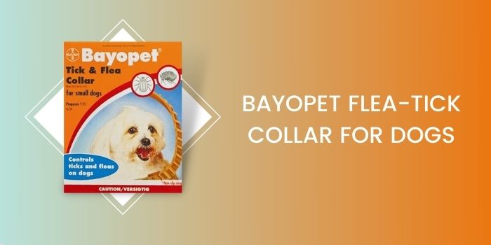BAYOPET COLLAR: Best Season-long Control Tick and Flea Collar for Dogs