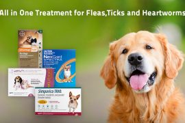 Flea, Ticks & Heartworm Treatment for dogs 2022