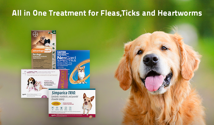 Flea, Ticks & Heartworm Treatment for dogs 2022