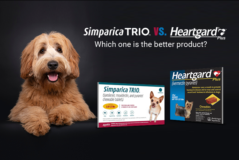 dog-heartworm-which-is-best-interceptor-vs-heartgard