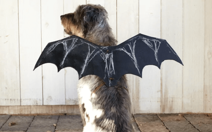 Easy Halloween Dog Costumes