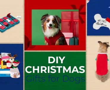 DIY Christmas Gifts Ideas for Dogs