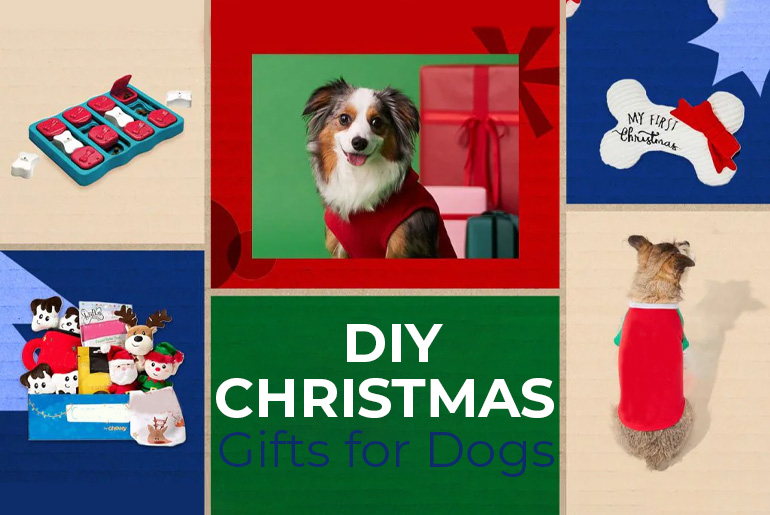 DIY Christmas Gifts Ideas for Dogs