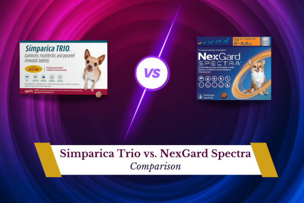 Simparica Trio Vs NexGard Spectra 2023 Comparison