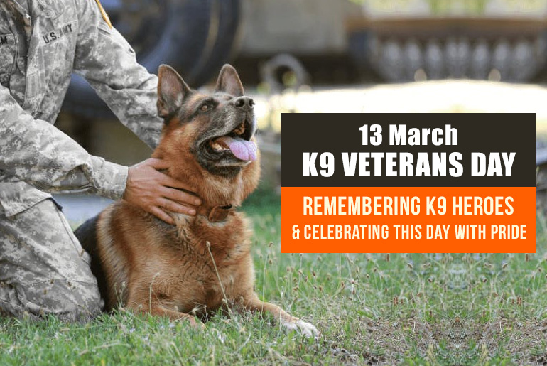 Remembering Famous Military Dogs on National K9 Veterans Day