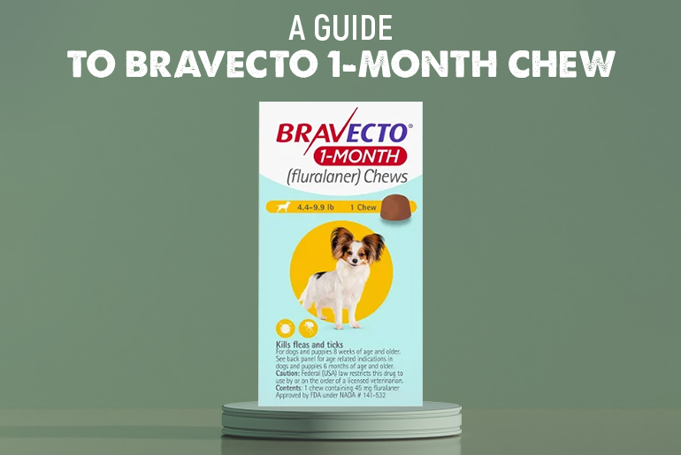 Bravecto 1 Month Chew Review