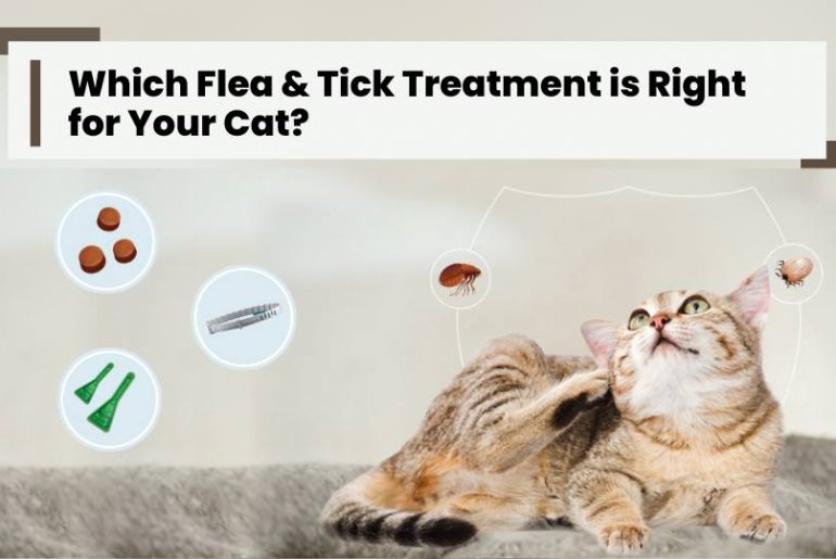 Which Flea & Tick Treatment is Right for Your Cat?
