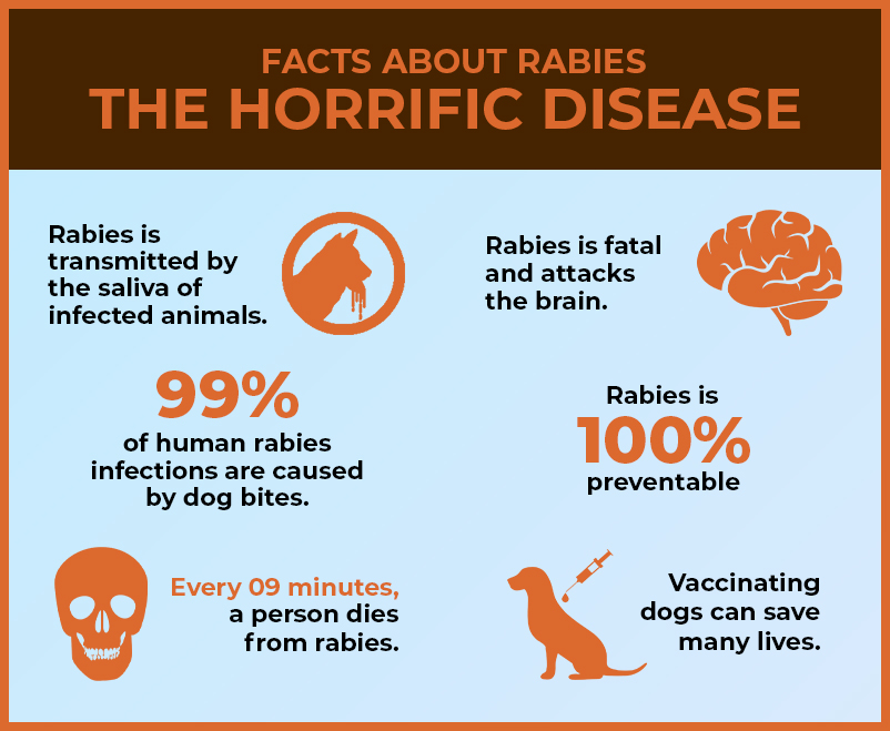 Facts about Rabies - The Horrific Disease