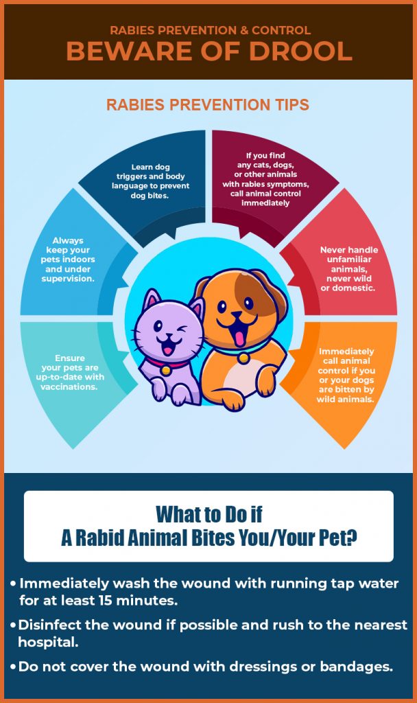 World Rabies Day 2023 Protect Your Dog from Rabies