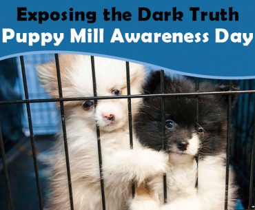 Puppy Mill Awareness Day