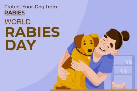 How to Celebrate World Rabies Day