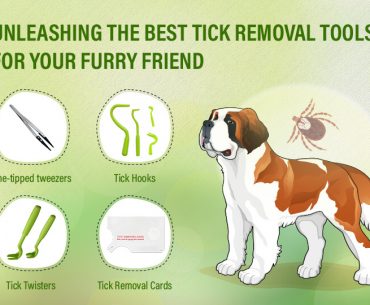 Tick Removal Tools and How to Use Them