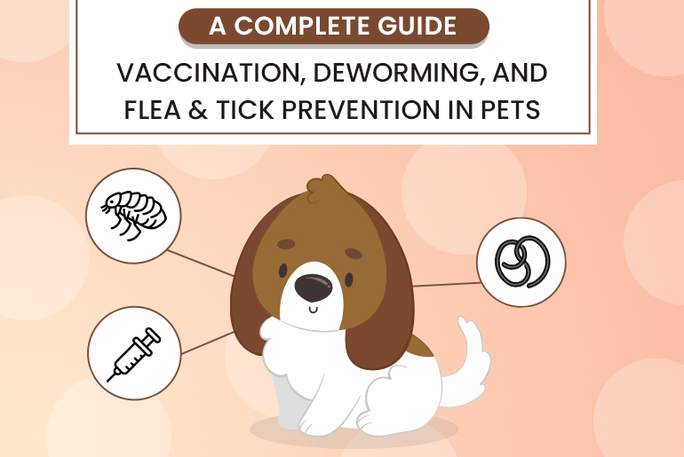 How Long are Rabies Shots Good for in Dogs: The Ultimate Guide