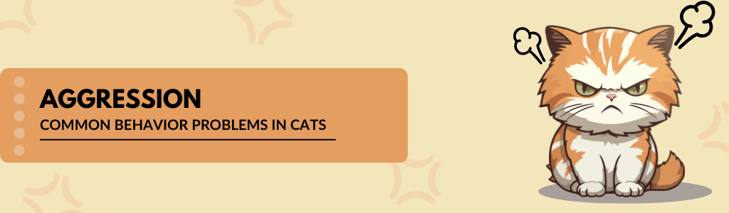 How to Deal with Cat Aggression
