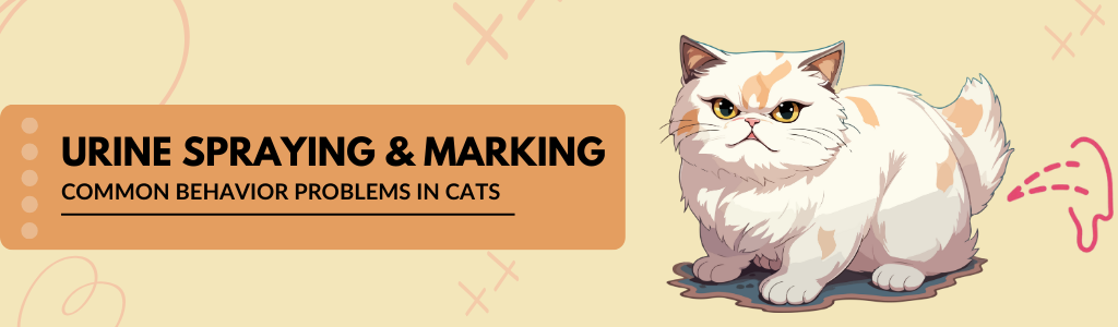 How to Prevent Urine Spraying in Cat