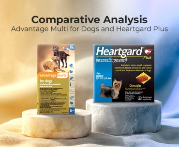 Heartgatd Plus and Advantage Multi for Dogs Comparison