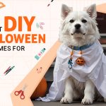 Easiest DIY Halloween Costumes for Dogs