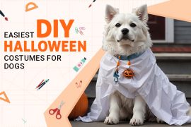 Easiest DIY Halloween Costumes for Dogs