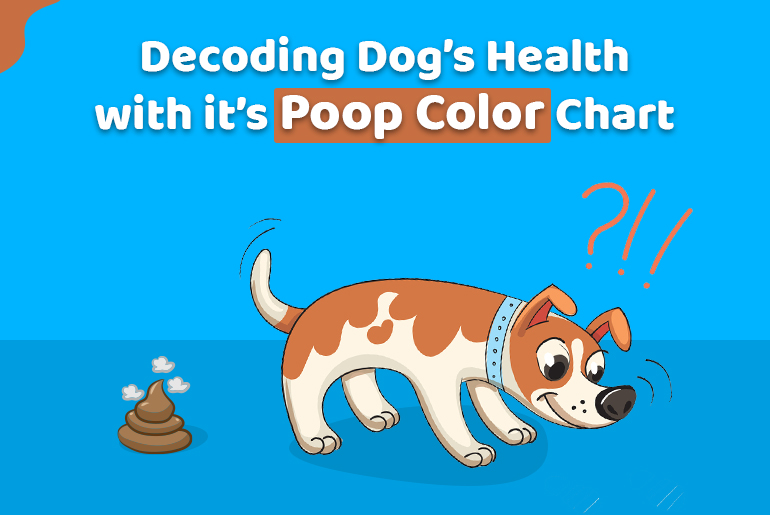 Decoding Dog’s Health with Dog Poop Color Chart - CanadaPetCare Blog