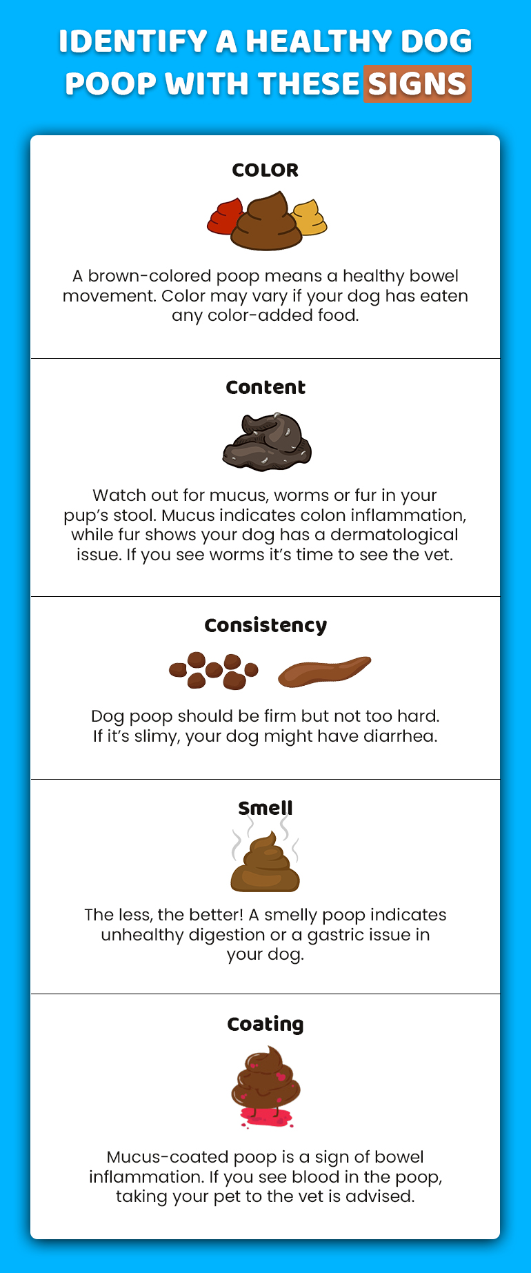 Decoding Dog’s Health with Dog Poop Color Chart - CanadaPetCare Blog
