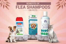 How do flea shampoos work?