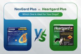 NexGard Plus vs. Heartgard Plus - Which One to Choose?