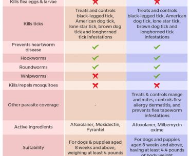 Nexgard Plus vs Nexgard Spectra Product Comparison Table