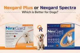 NexGard PLUS Product Comparison