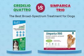 Credelio Quattro and Simparica Trio comparison