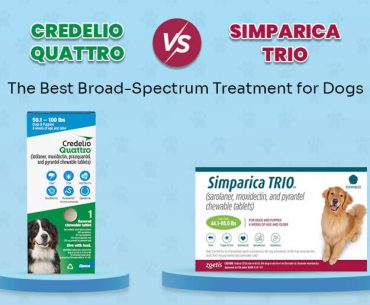 Credelio Quattro and Simparica Trio comparison