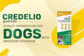 Credelio Quattro for Dog s