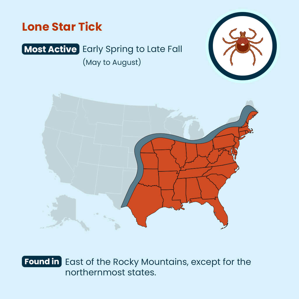 Lone Star Tick Guide: U.S. Locations & Seasons