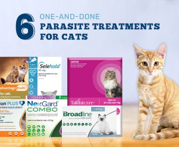 All-in-One Parasite Treatments for Cats
