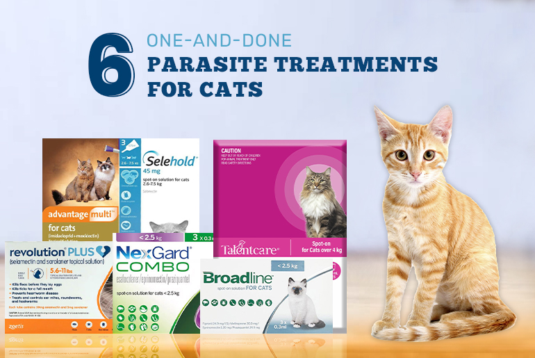 All-in-One Parasite Treatments for Cats