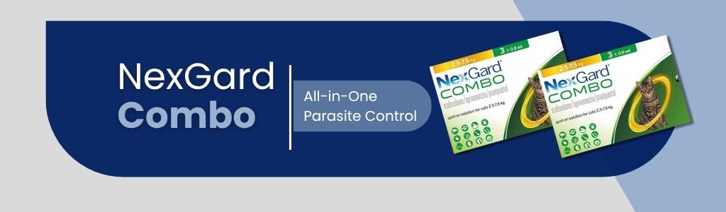 NexGard Combo: One Dose, Broad Protection