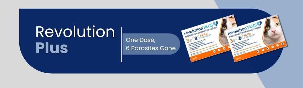 Revolution Plus: One Dose. Six Parasites Gone