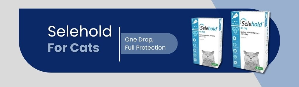 Selehold Spot-On: Simple, Strong, Single-Dose