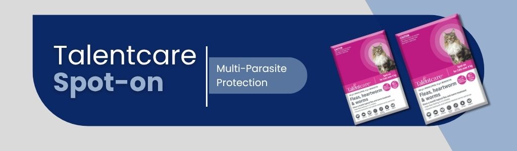 Talentcare Spot-On: Complete Care in One Step