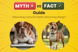 Common Myths About Dog Weight