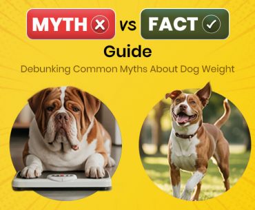 Common Myths About Dog Weight