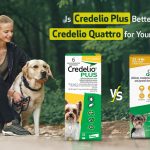 How Credelio Plus is better than Credelio Quattro