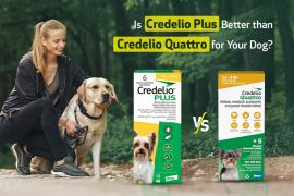 How Credelio Plus is better than Credelio Quattro