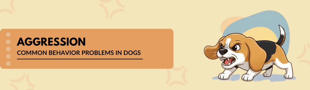 Aggression common behavior problems in dogs