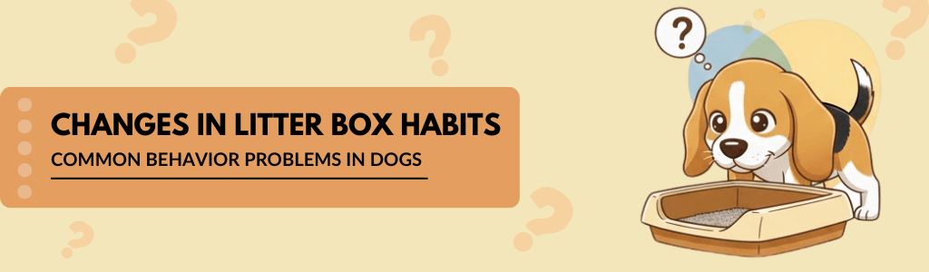 Changes in litter box habits common behavior problems in dogs
