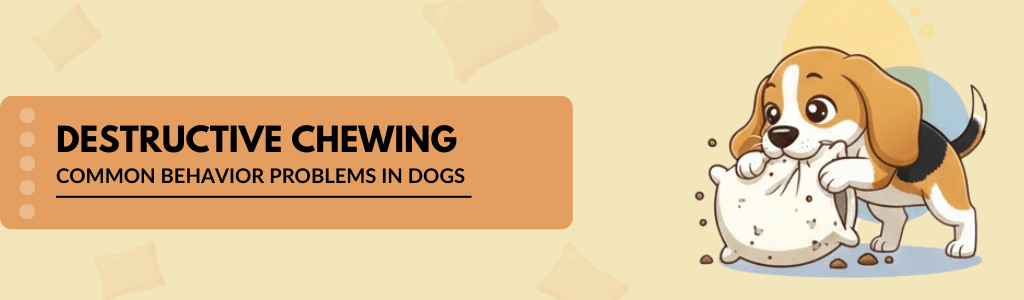 Destructive Chewing common behavior problems in dogs